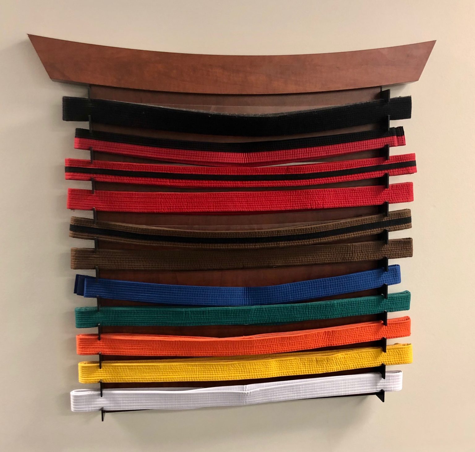 Belt Colors in Taekwondo Akula Taekwondo