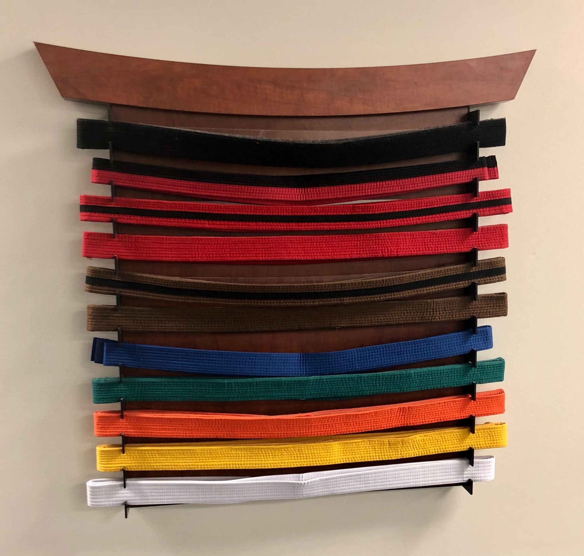 Belt Colors in Taekwondo - Akula Taekwondo