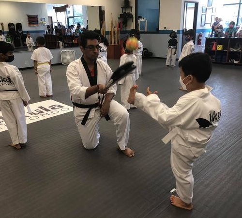 Taekwondo Classes For Little Kids Near Me Walled Lake Michigan 500x450 