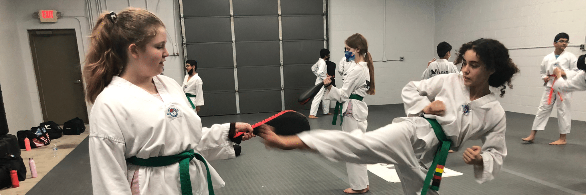 Akula Taekwondo About Akula Taekwondo