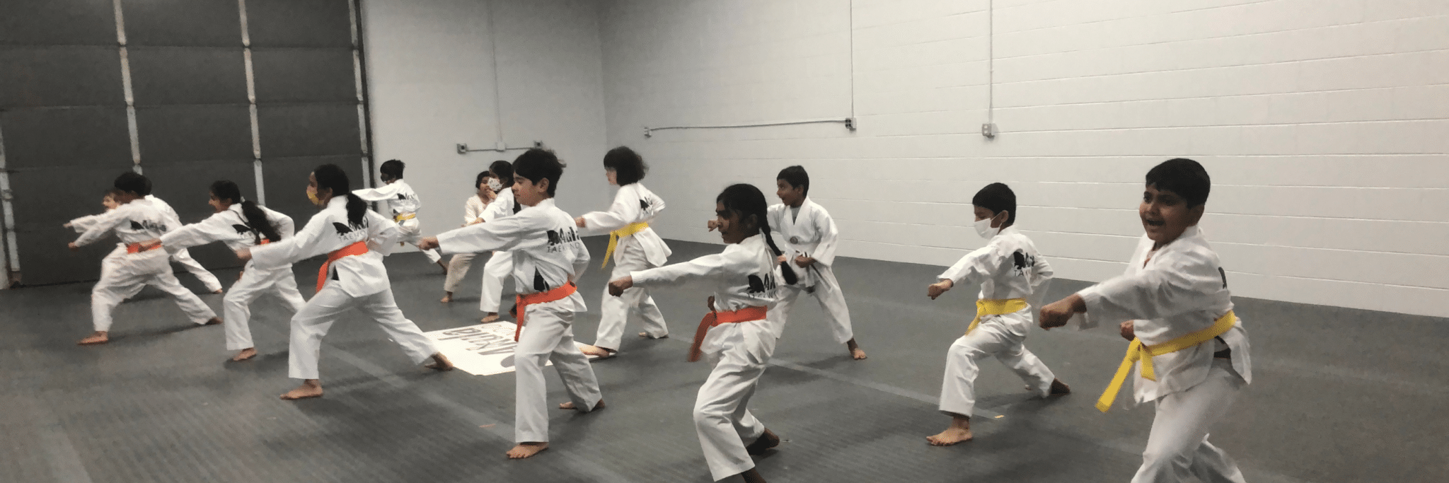Akula Taekwondo Martial Arts Classes
