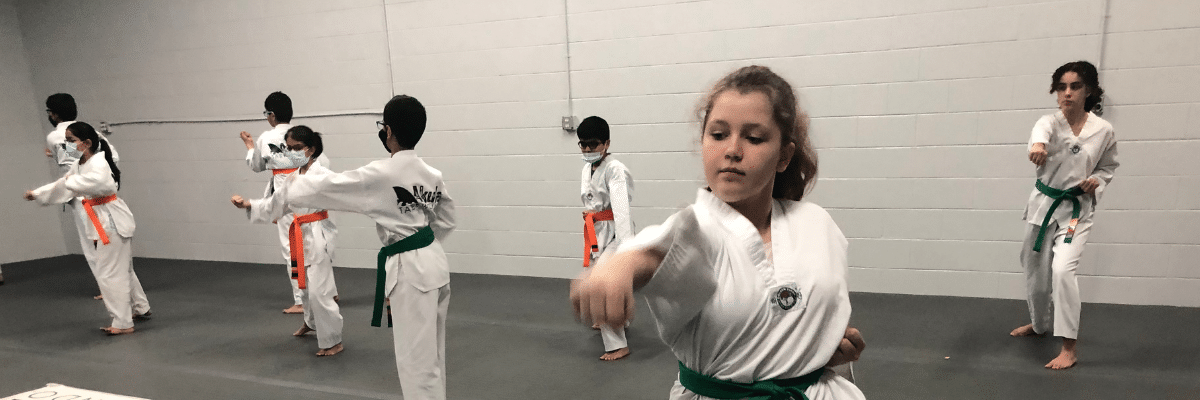 Akula Taekwondo Children's Taekwondo Program