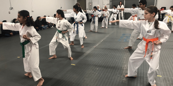 Karate students practicing their techniques in class at Akula Taekwondo Novi MI Martial Arts School