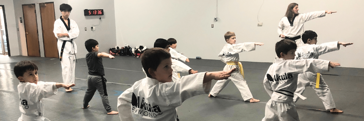 Martial Arts Curriculum at Akula Taekwondo