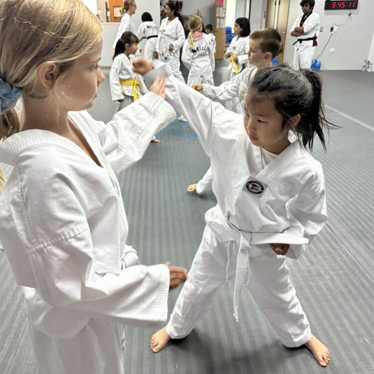 Akula Taekwondo Gallery Photo Number 20