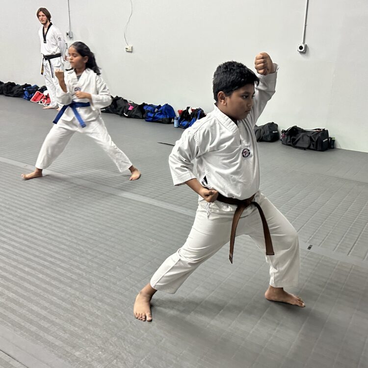 Akula Taekwondo Gallery Photo Number 22